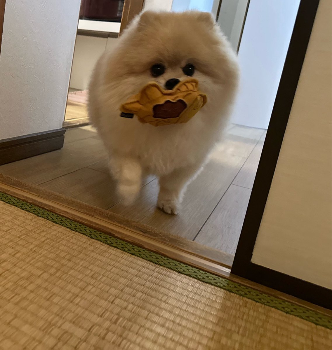 りんりんたろう🪐 tweet media