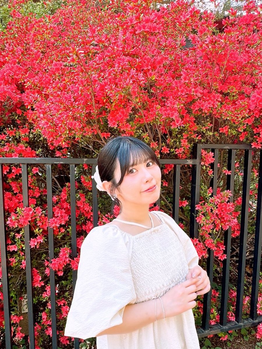 羽月みお tweet media
