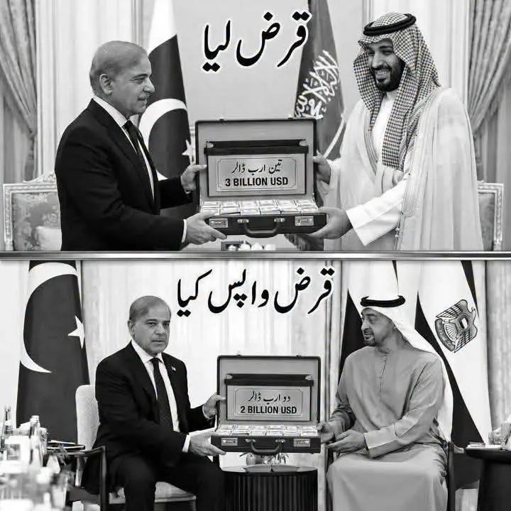 Zia Hafeez tweet media