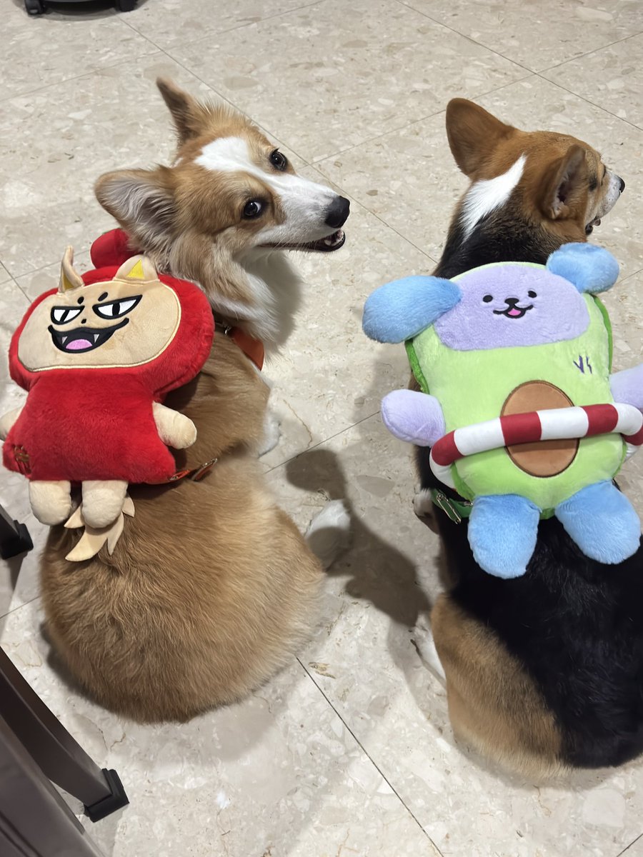 แม่หมาน้อย🥫🍓🤡🎪 tweet media