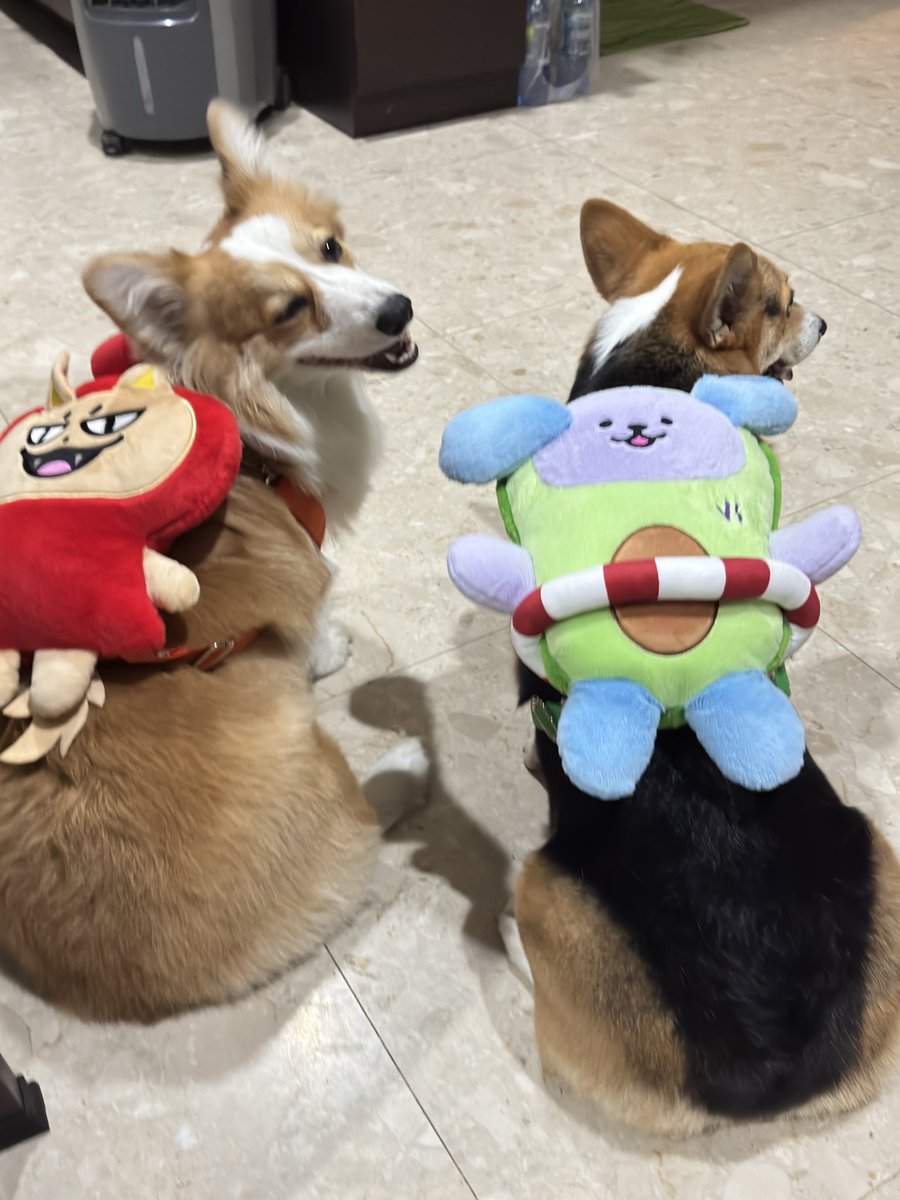 แม่หมาน้อย🥫🍓🤡🎪 tweet media