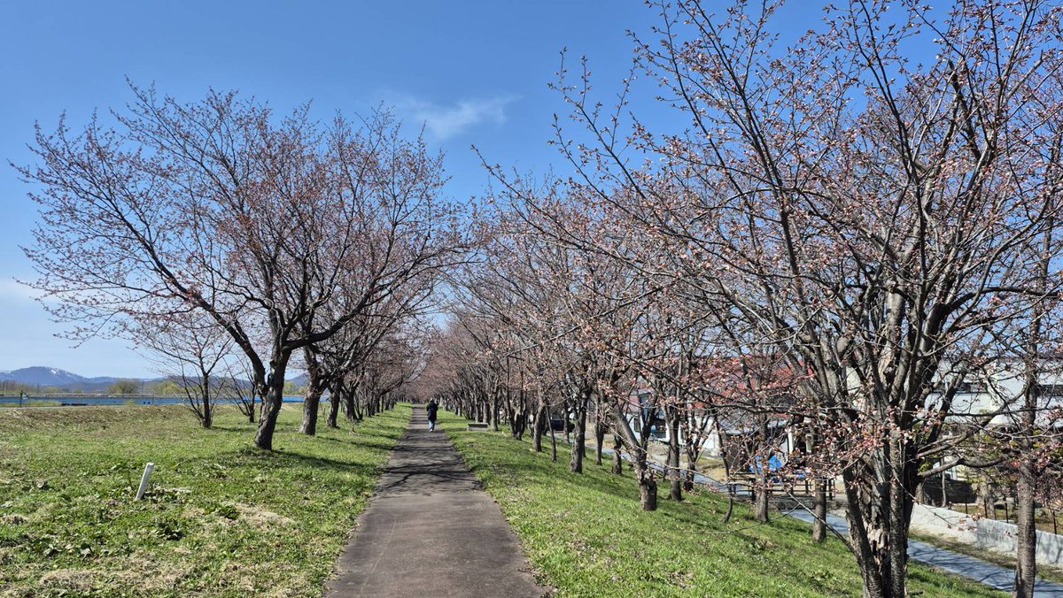 firststep／【ファーストステップ・北海道旭川・映像技術制作プロダクション】 tweet media