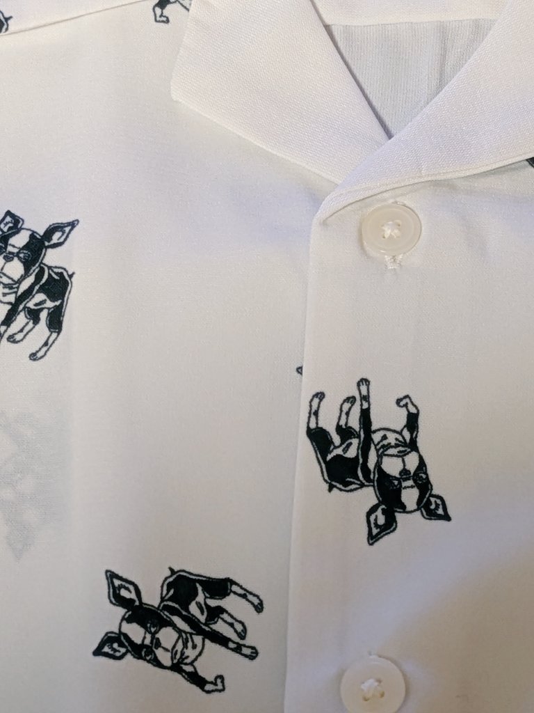 Ｋ(仮名)【ピエラー】 tweet media