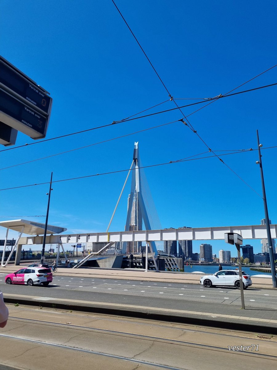 vester71 tweet media