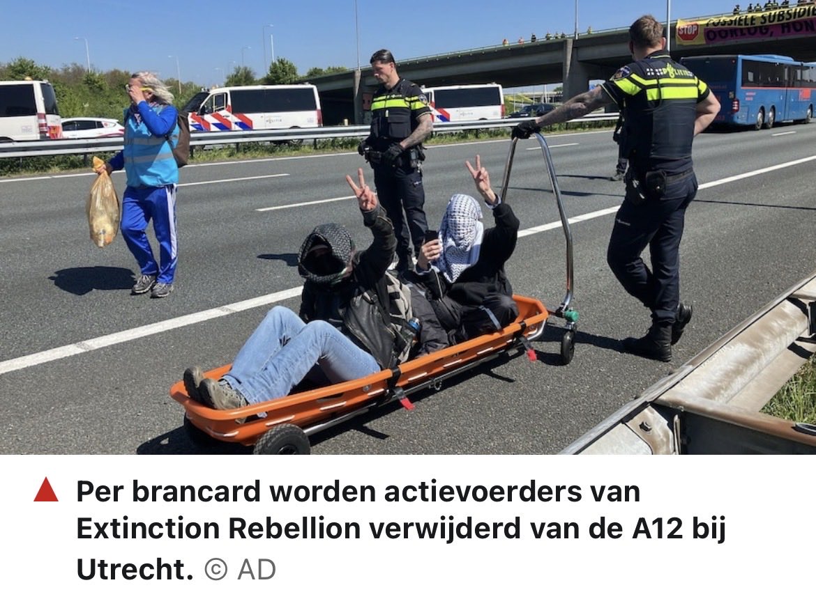 ZetelZuur tweet media