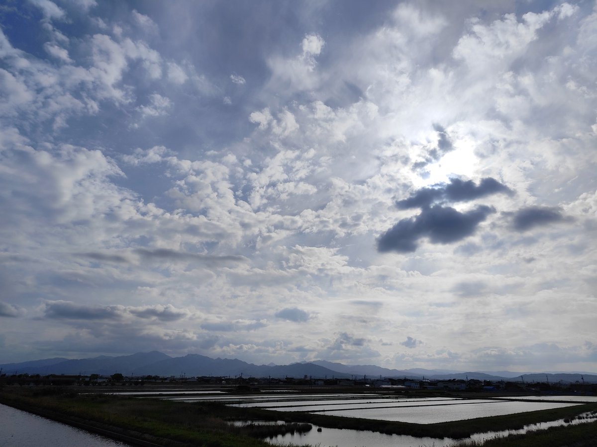 令和8年4月25日 土曜日

朝のうちは曇り空
徐々に青空も見えてきました

過ごしやすい日でしたが 海岸は少し風が冷たく感じました