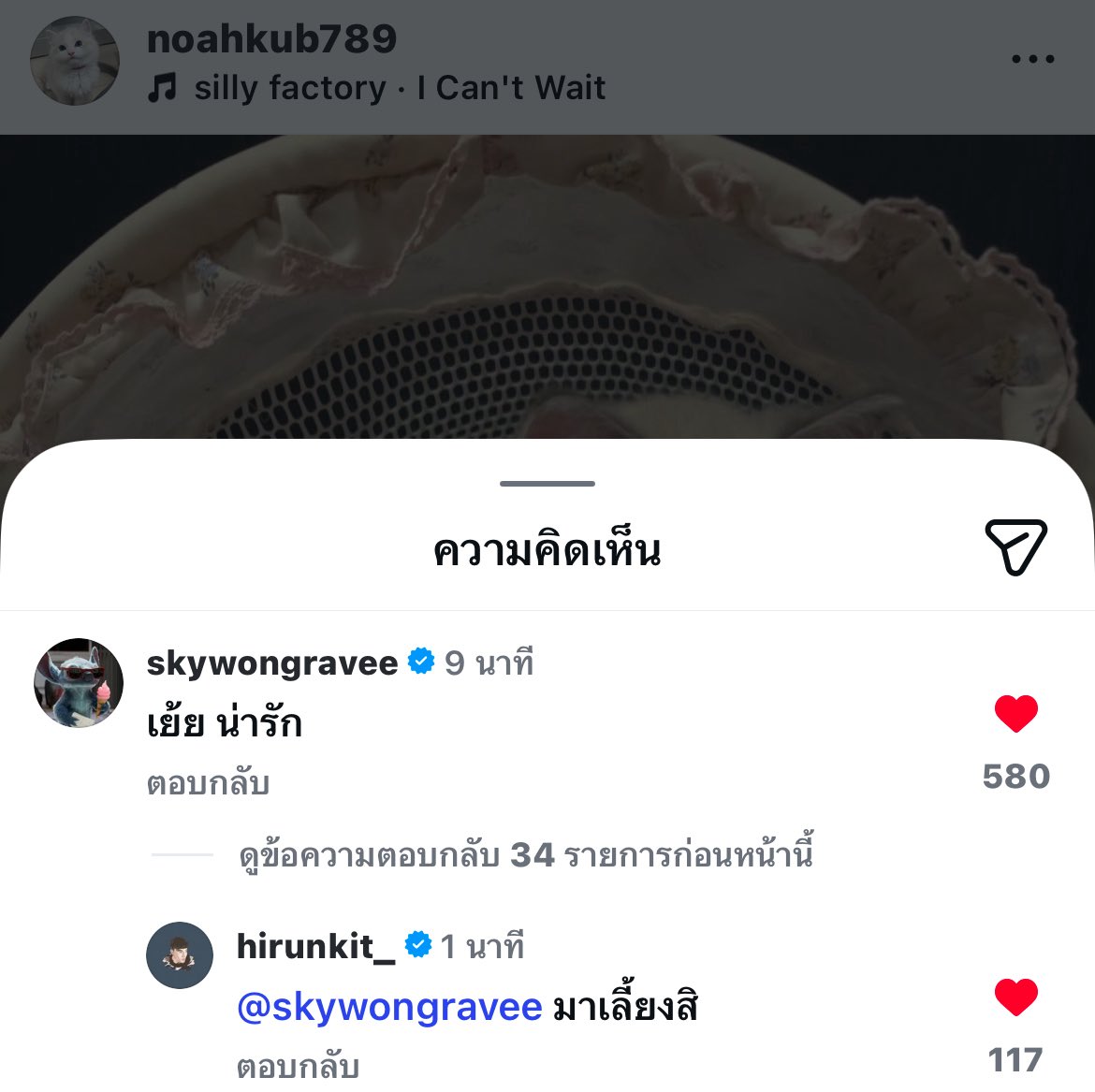 ซิบแฮม🐈‍⬛🎀 tweet media