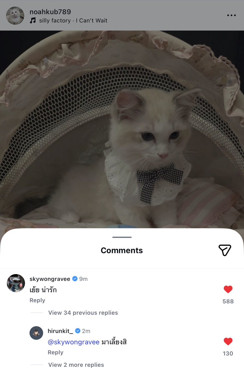 forSKYNANI☁️🎀 tweet media