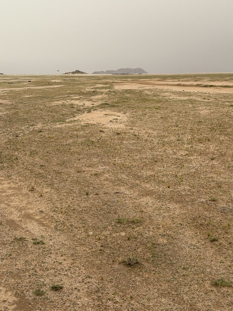 عمر عبدالسلام القبلان tweet media