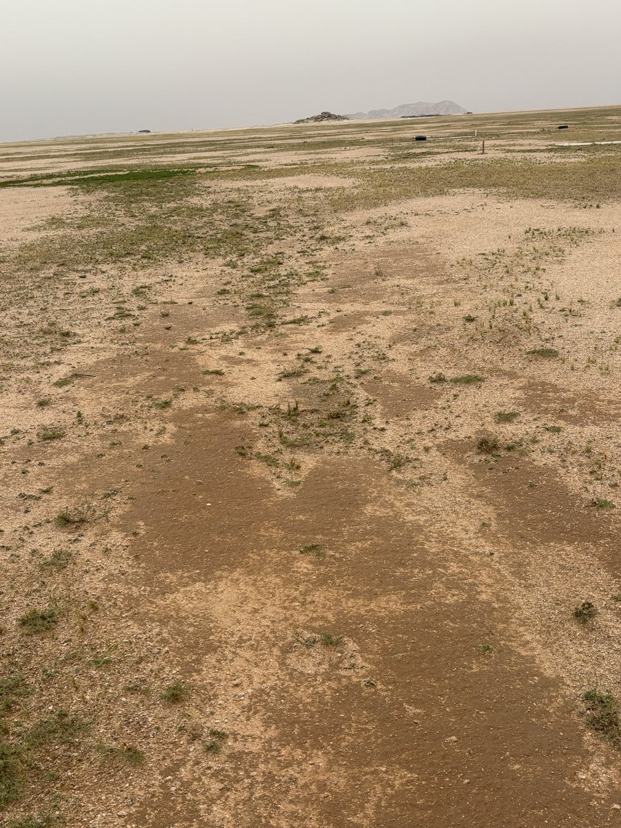 عمر عبدالسلام القبلان tweet media