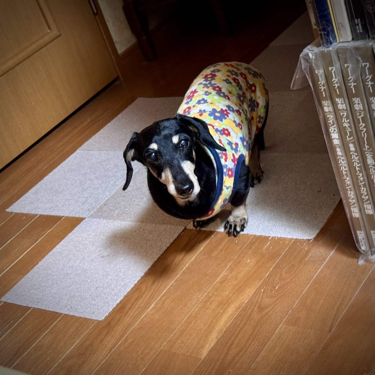 Leiermann tweet media