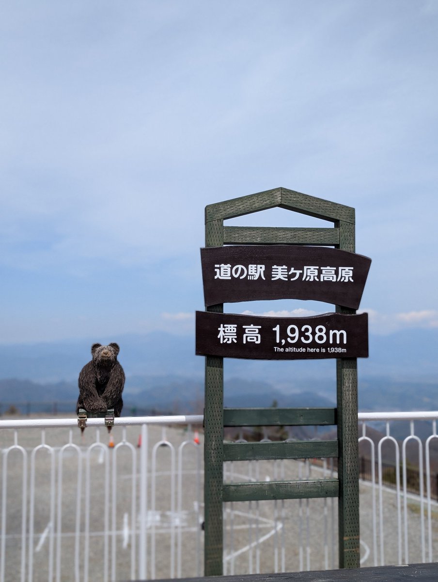 ぐぬぬ tweet media