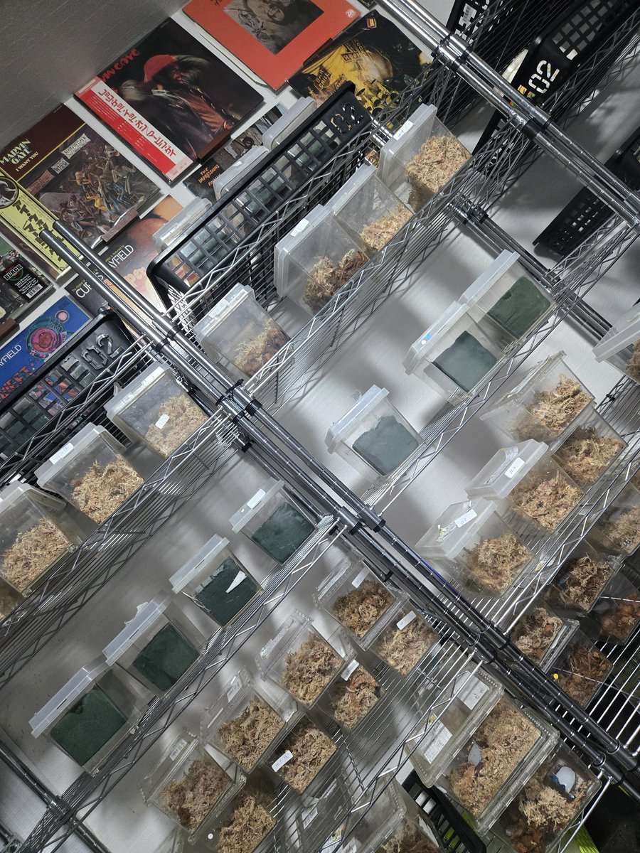 ドラゴン1026 tweet media