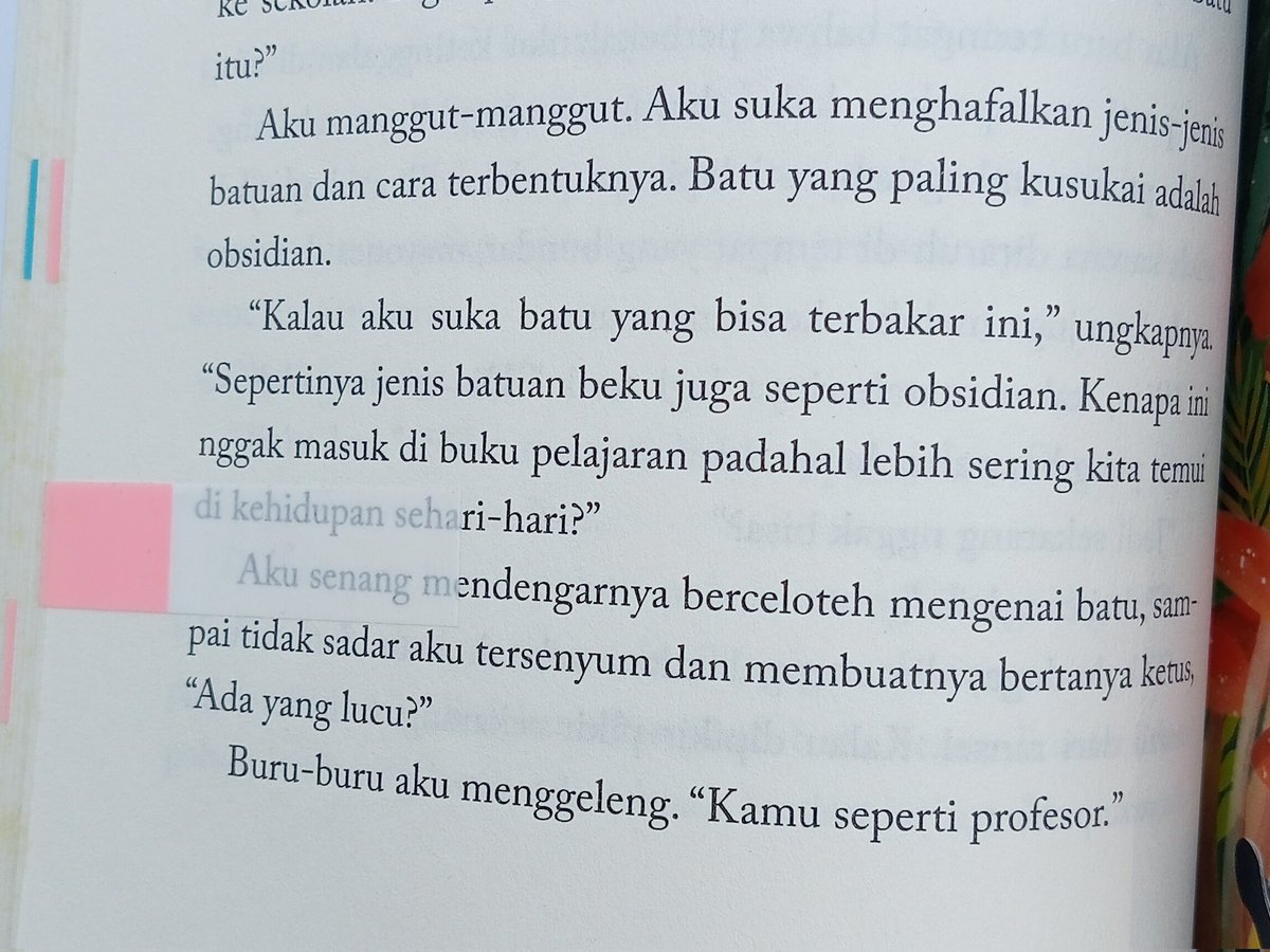 ann tweet media