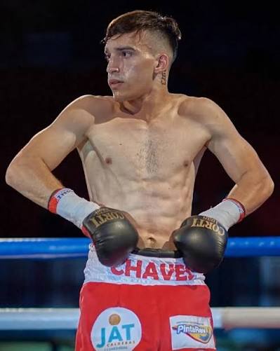 Boxeo Gordo tweet media