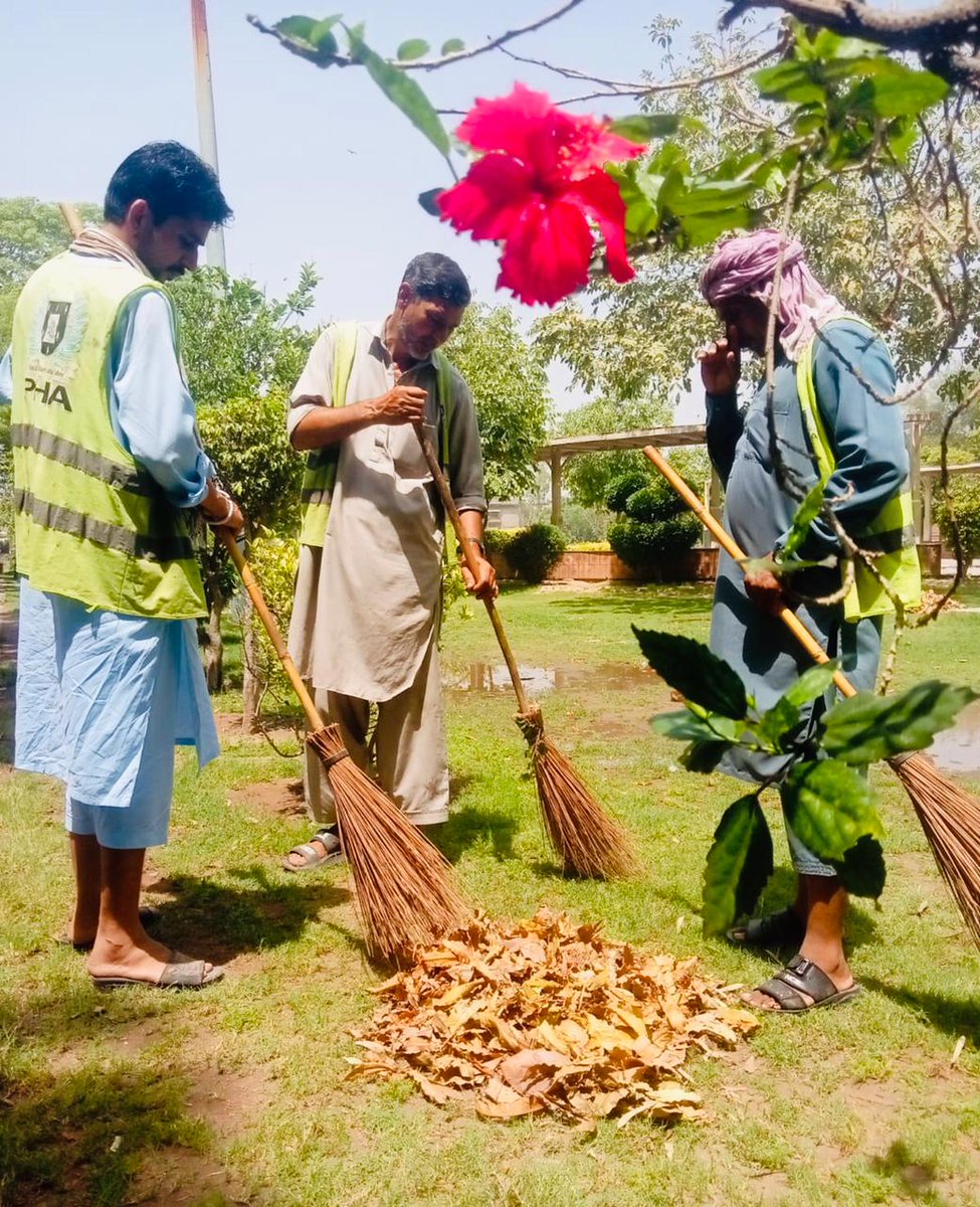 PhaLhr's tweet image. وزیر اعلی پنجاب محترمہ مریم نواز شریف صاحبہ کے گرین پنجاب ویژن کے تحت  پی ایچ اے لاہور کے ملازمین شہر میں شاہراہوں ، گرین بیلٹ اور پارکوں میں ہارٹی کلچر کا 
کام کررہے ہیں ۔

#lahore #green #horticulture #lahori