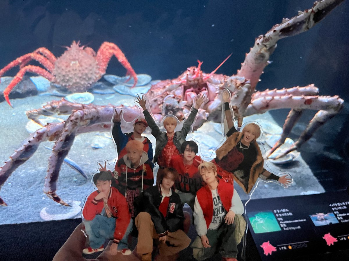 もっぴ tweet media