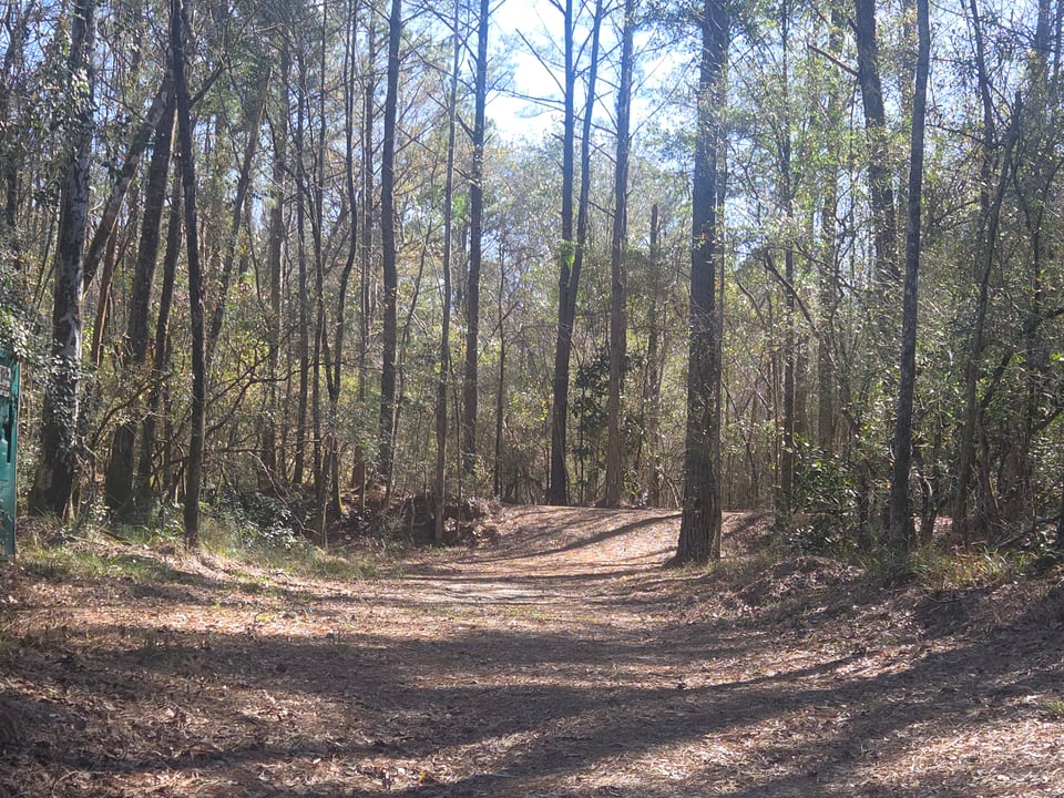 hlrbohunting's tweet image. 265 acres in Mobile County, AL on HLRBO. Cypress sloughs, hardwood bottoms, and water that looks like a magazine cover. Coastal AL late rut, room for 4. LandKey enabled.

land.hlrbo.com/4utWqQz

#hlrbo #huntinglease #Alabama #deerhunting