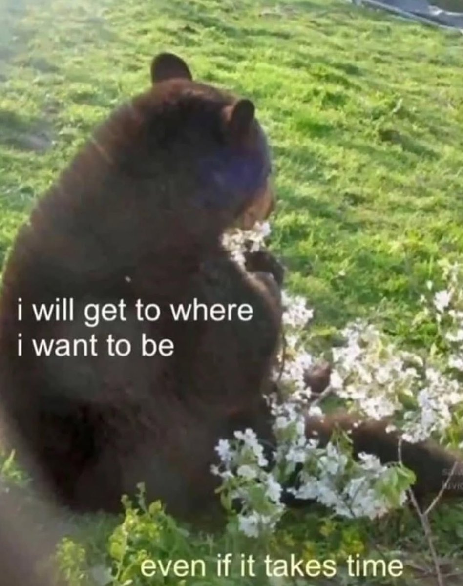 hopecore tweet media