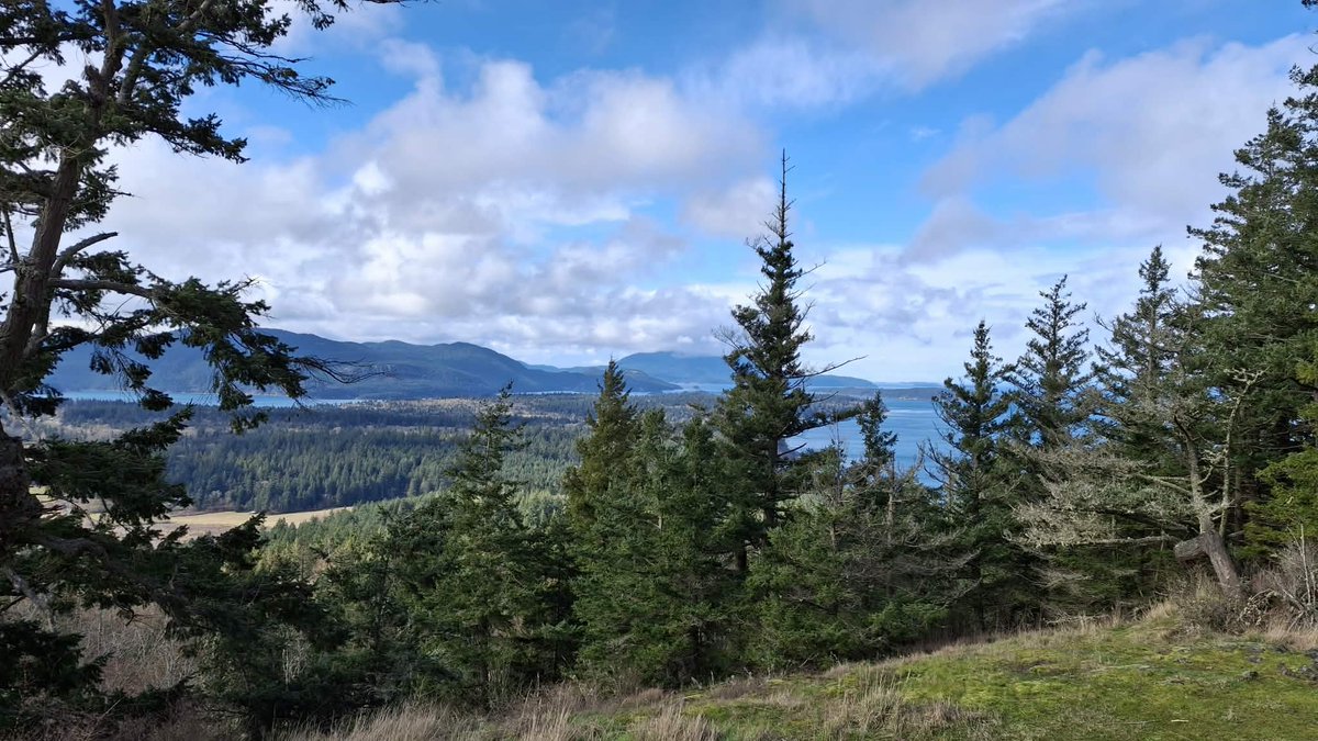 DLuciearl36413's tweet image. Its it just me? See it? A looming world crisis? How will we grow food in climate crisis? Too hot, too flooded, too desert dry, it will become more difficult to survive. Even if leader has become 4 billion dollars richer in 1 year, it won't matter. Don't ignore #ClimateChange