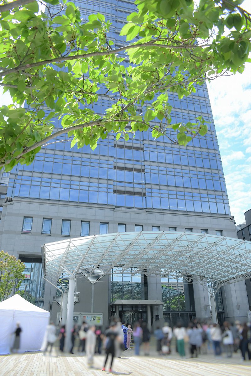 はるか tweet media