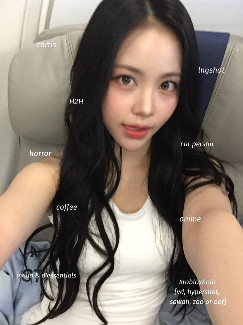 Woodsy Corner. tweet media