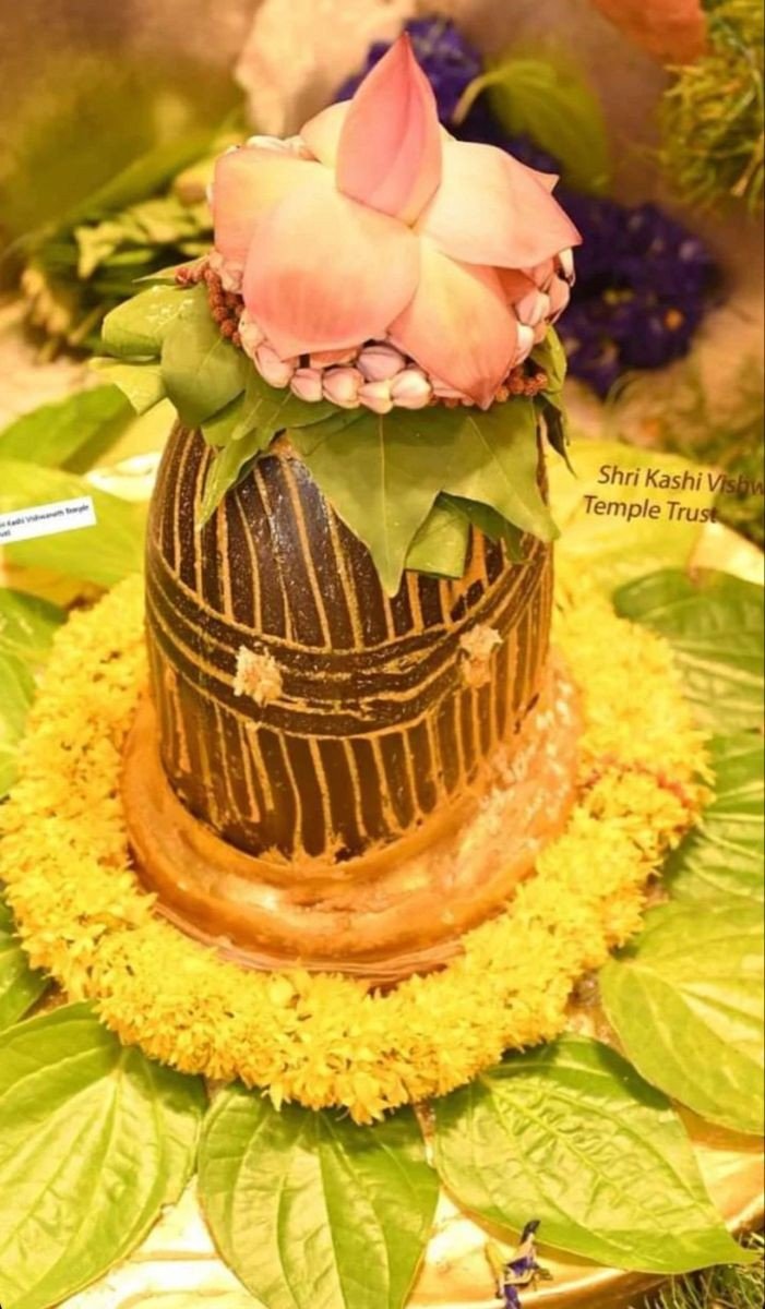 ramshankarpd11's tweet image. 🚩तेरी सृष्टि  ,
🚩तेरी  भक्ति  ,
🚩तेरा  हीं  संसार  है  ।
🚩तेरी  दया  के सब  है  भिखारी  ,
🚩तुं  हीं  पालनहार  है----!
#हर _हर  _शंभु _महादेव 🙏