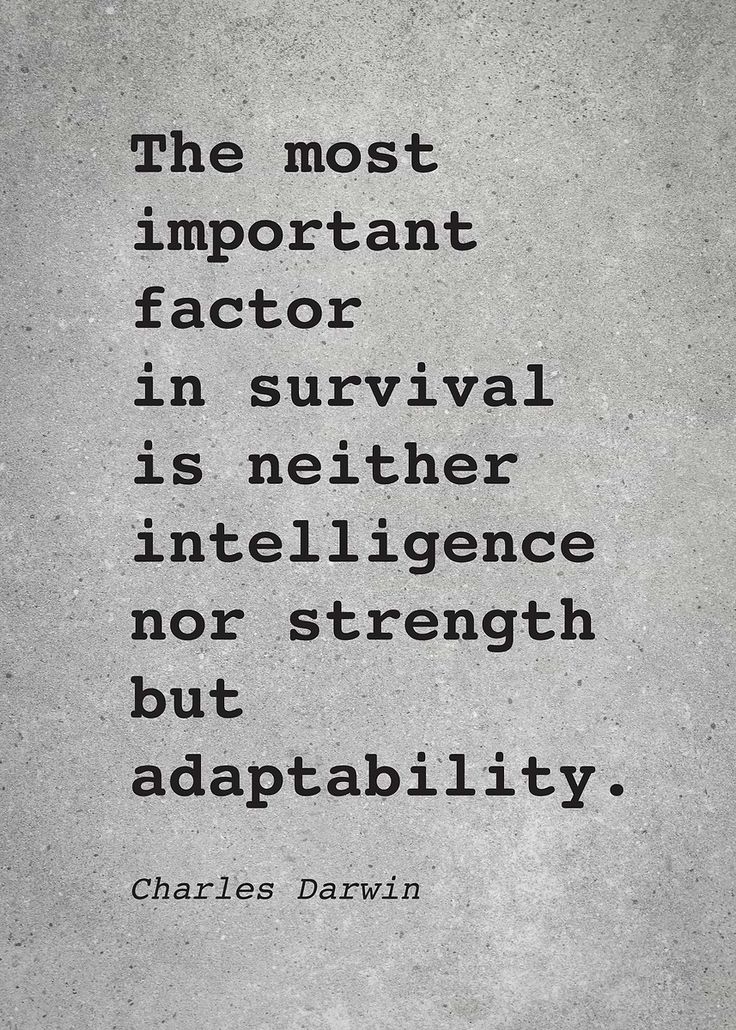 Words of Wise | Mindset Coach (@wordofwise_) on Twitter photo 