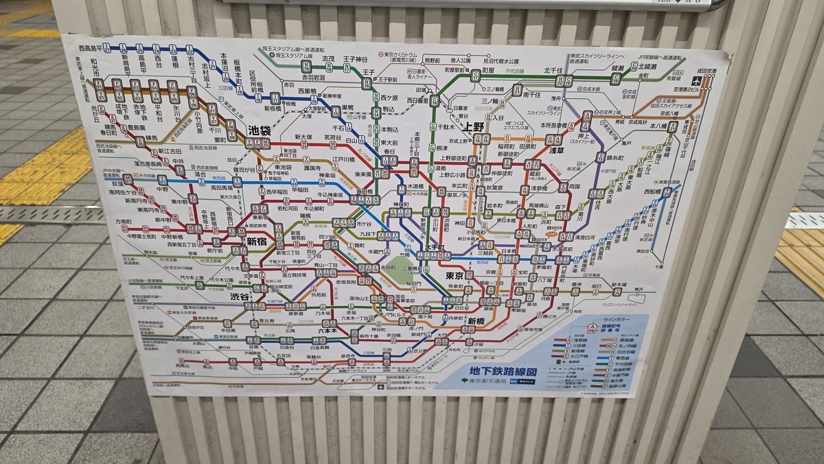 하마🦛 tweet media