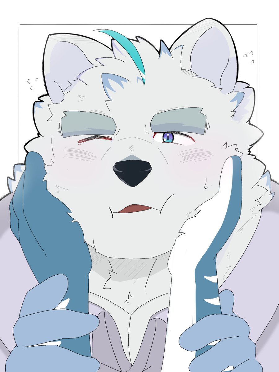 とき🐻‍❄️ tweet media