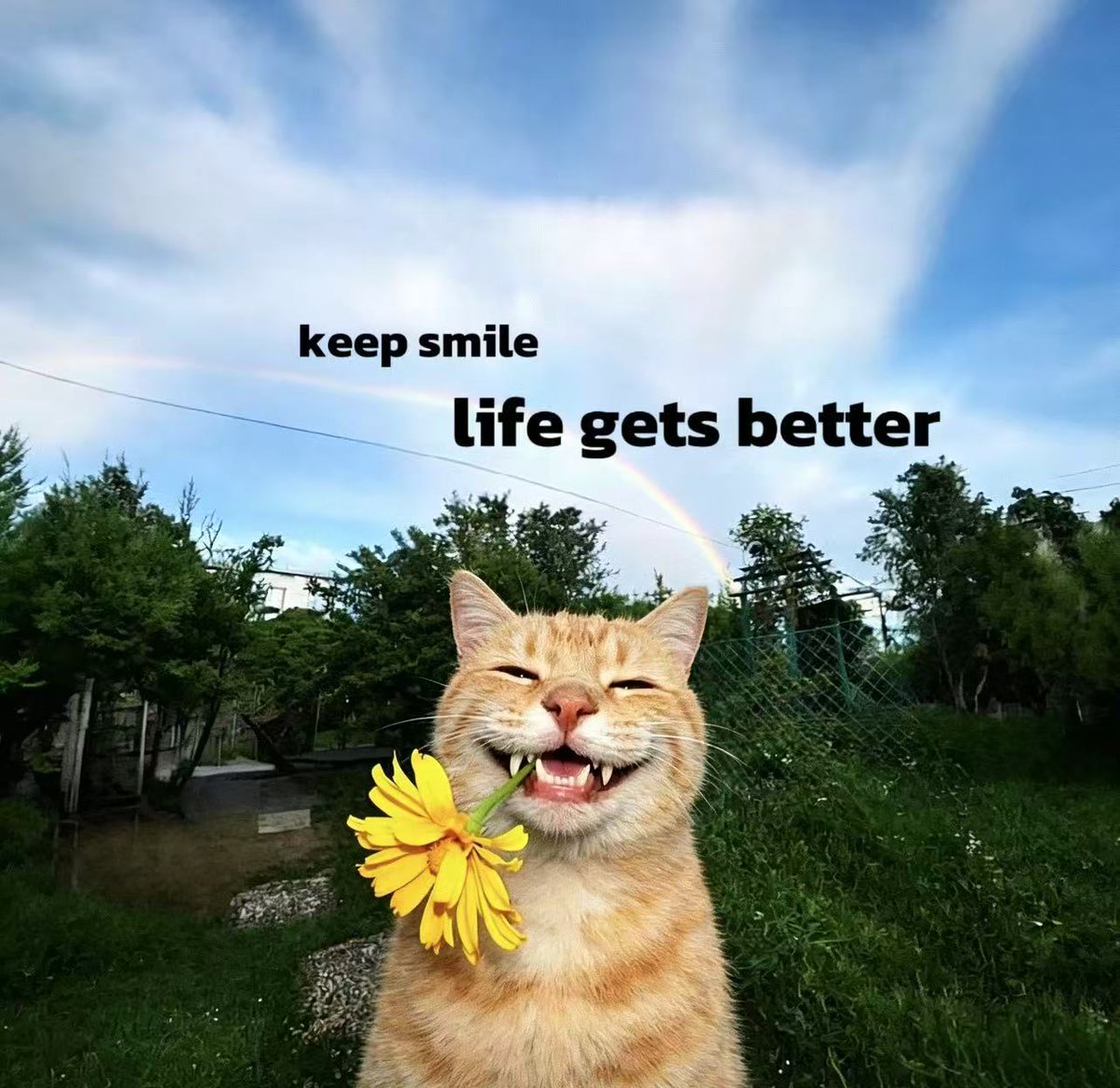 Poloniex Exchange tweet media