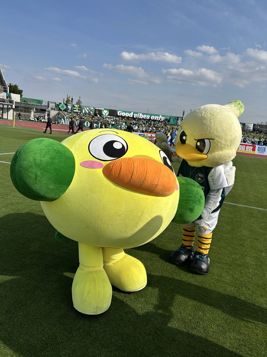 はしろう君with橋本自動車学校 tweet media