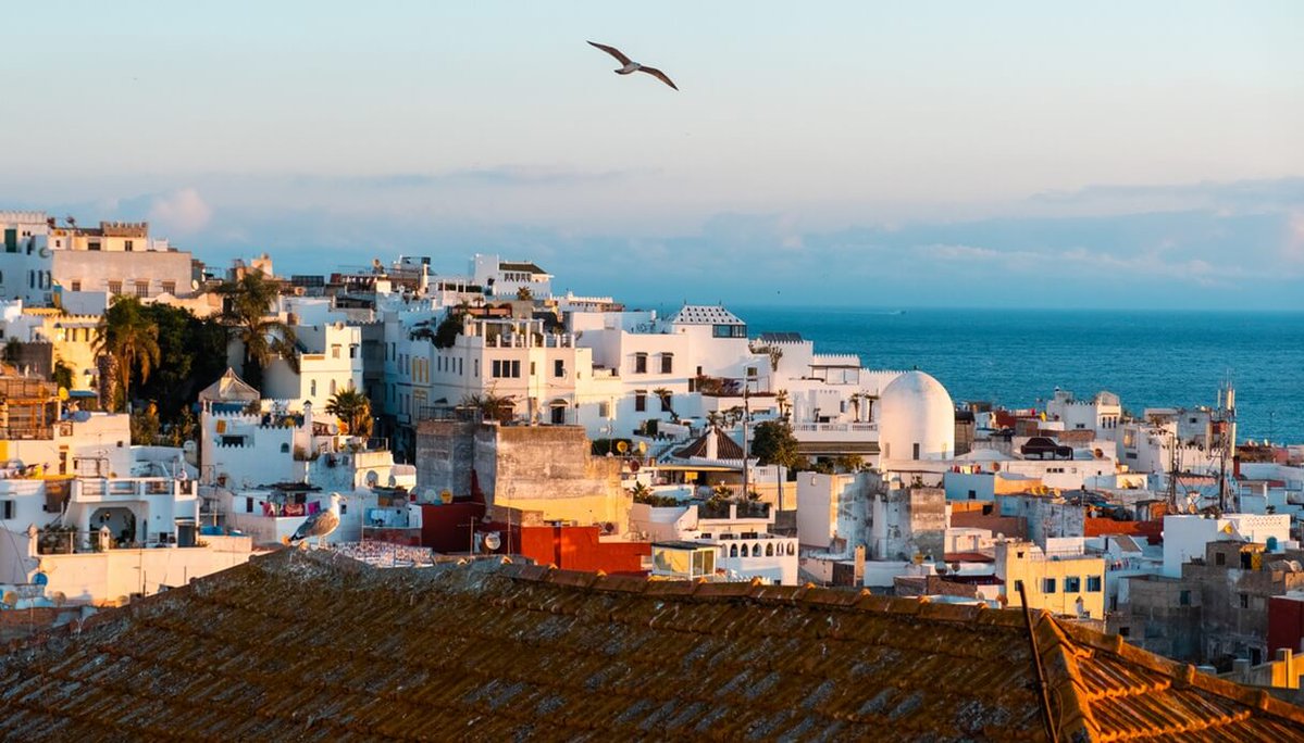 viaggiare_low_c's tweet image. 7 territori del Mediterraneo che danno il meglio in primavera
siviaggia.it/idee-di-viaggi…
#viaggiare #travel