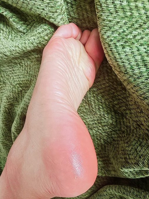 想做小猫 tweet media