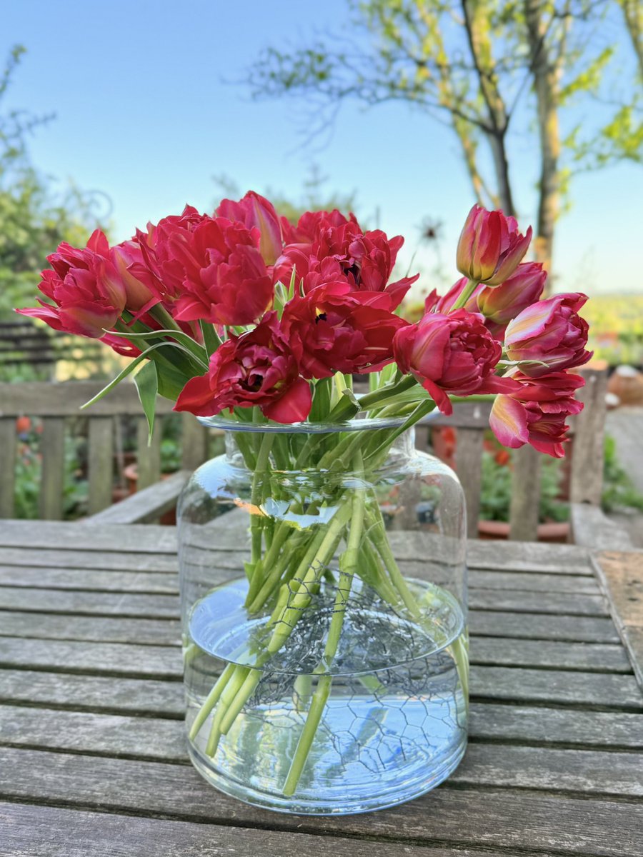 𝙽𝚒𝚔𝚔𝚒 𝙻𝚎𝚠𝚒𝚜 𝙿𝚑𝚘𝚝𝚘𝚐𝚛𝚊𝚙𝚑𝚢 tweet media