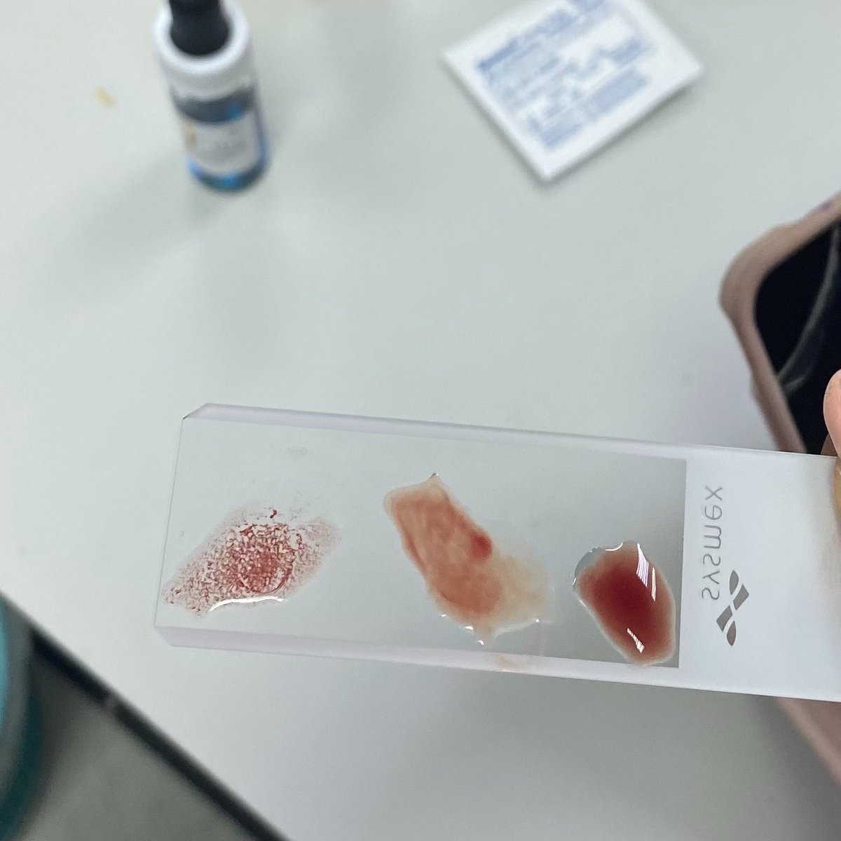 ur bright star tweet media