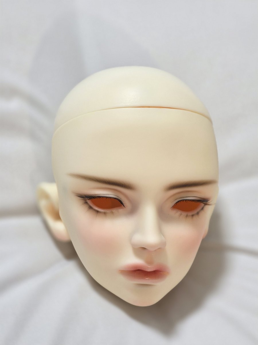 메리₍ᐢ·͈༝·͈ᐢ₎ tweet media