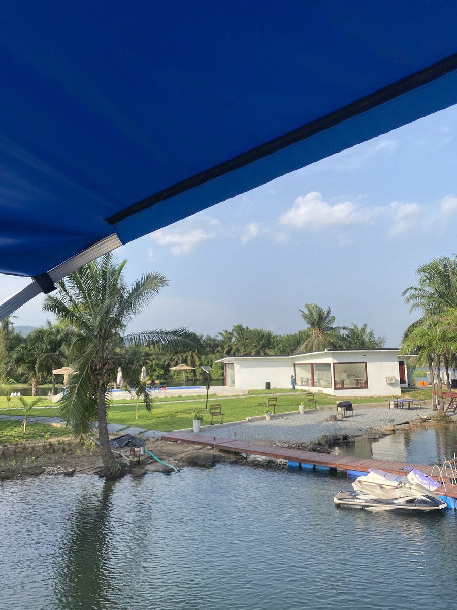 Koo Mireku tweet media