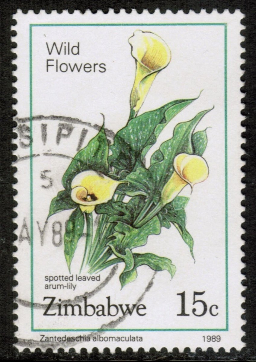 Philatelovely's tweet image. There we are then, the end another superb A-Z! Thank you all for joining in, I really appreciate it. It’s the letter Z in the A-Z of Flowers on Stamps. Here are my choices, please share yours too.
Thanks,
John

Zaire 
Zimbabwe

#stampcollecting #stamps