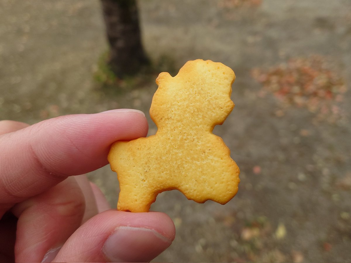 アーラ(岐阜推し岐阜県民🪽) tweet media