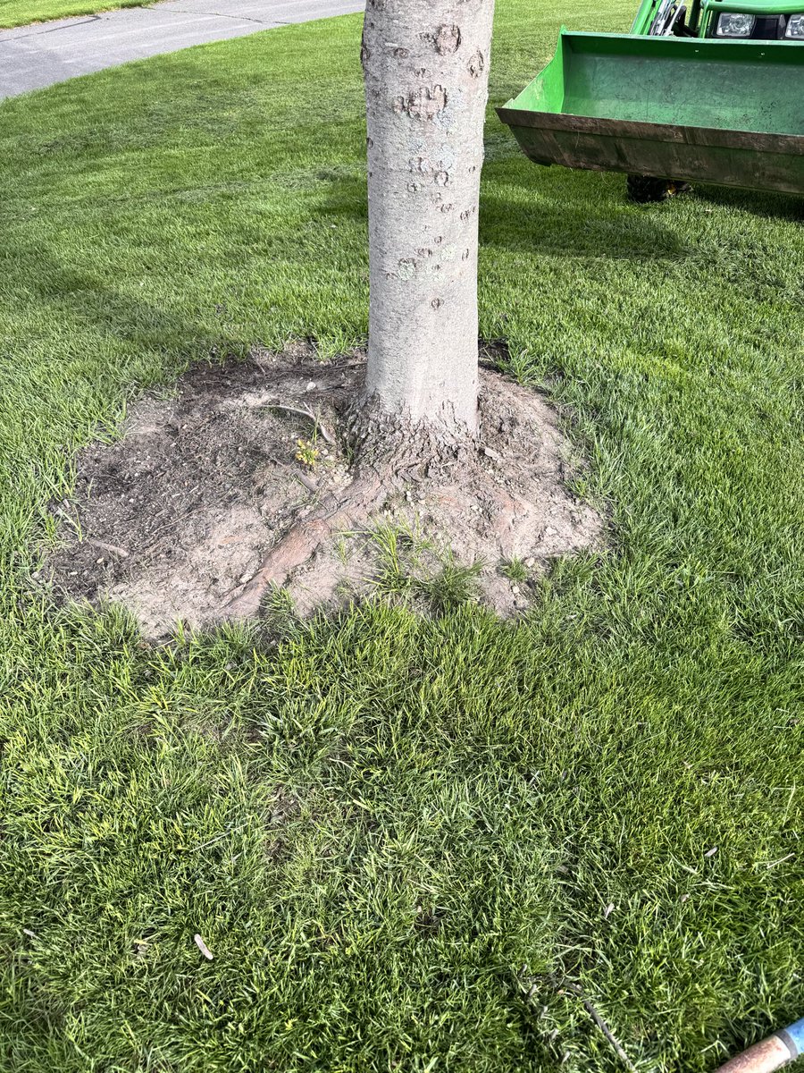 FedProm's tweet image. Young men. Focus on school and money because Once you start a relationship you will have to constantly maintain Or weeds will take over and ruin your tree. #lovelife