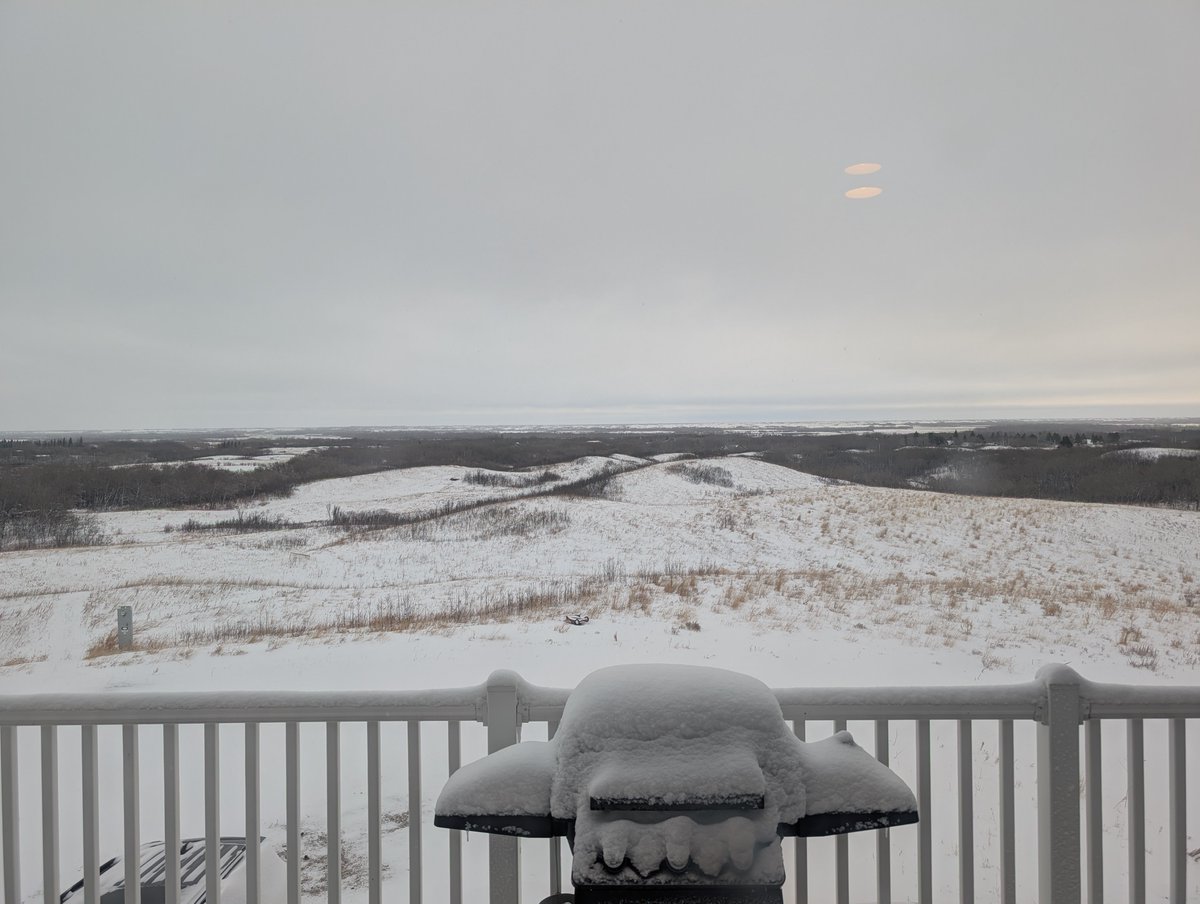 PotatoRustler tweet media