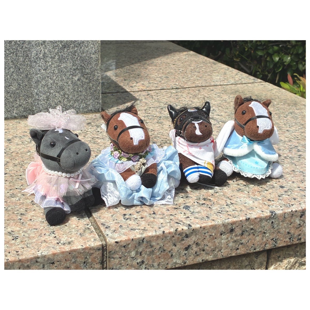 シャドーロールちゃん🪻 tweet media