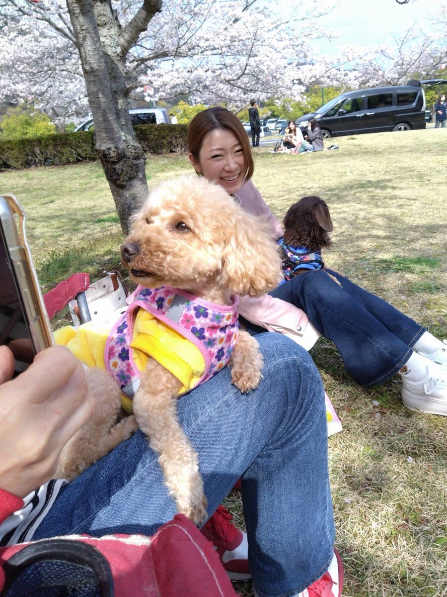 愛聖りさ🐶5/31撮影会📸 tweet media