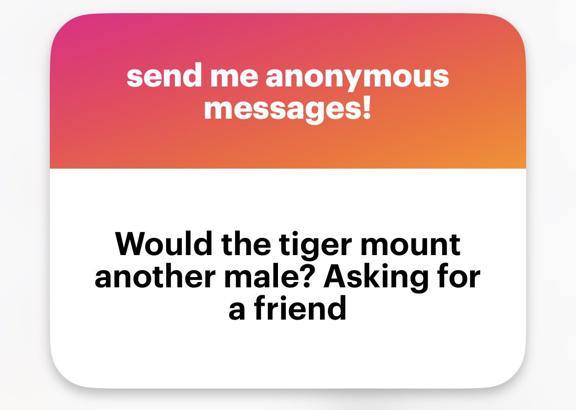 If he’s in heat and he’s desperate, yes!