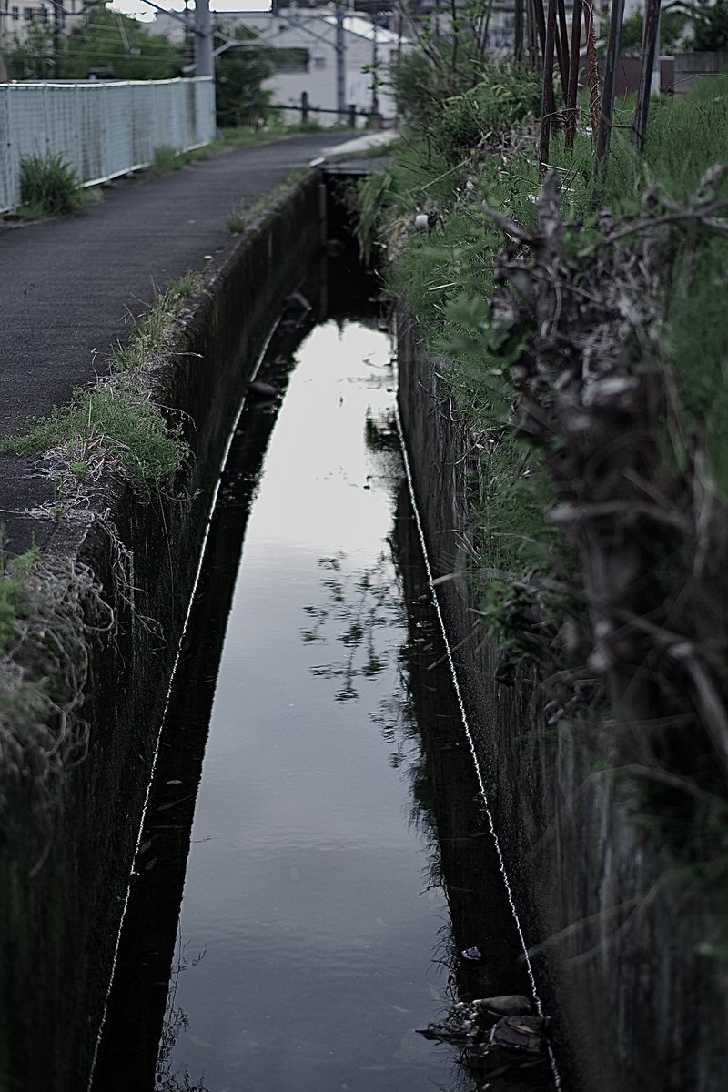 oyu_bo's tweet photo. ゆらゆら

#写真好きな人と繋がりたい https://t.co/sLkCvqJrWG