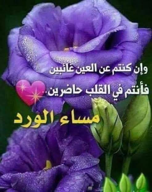 نوره العسيري tweet media