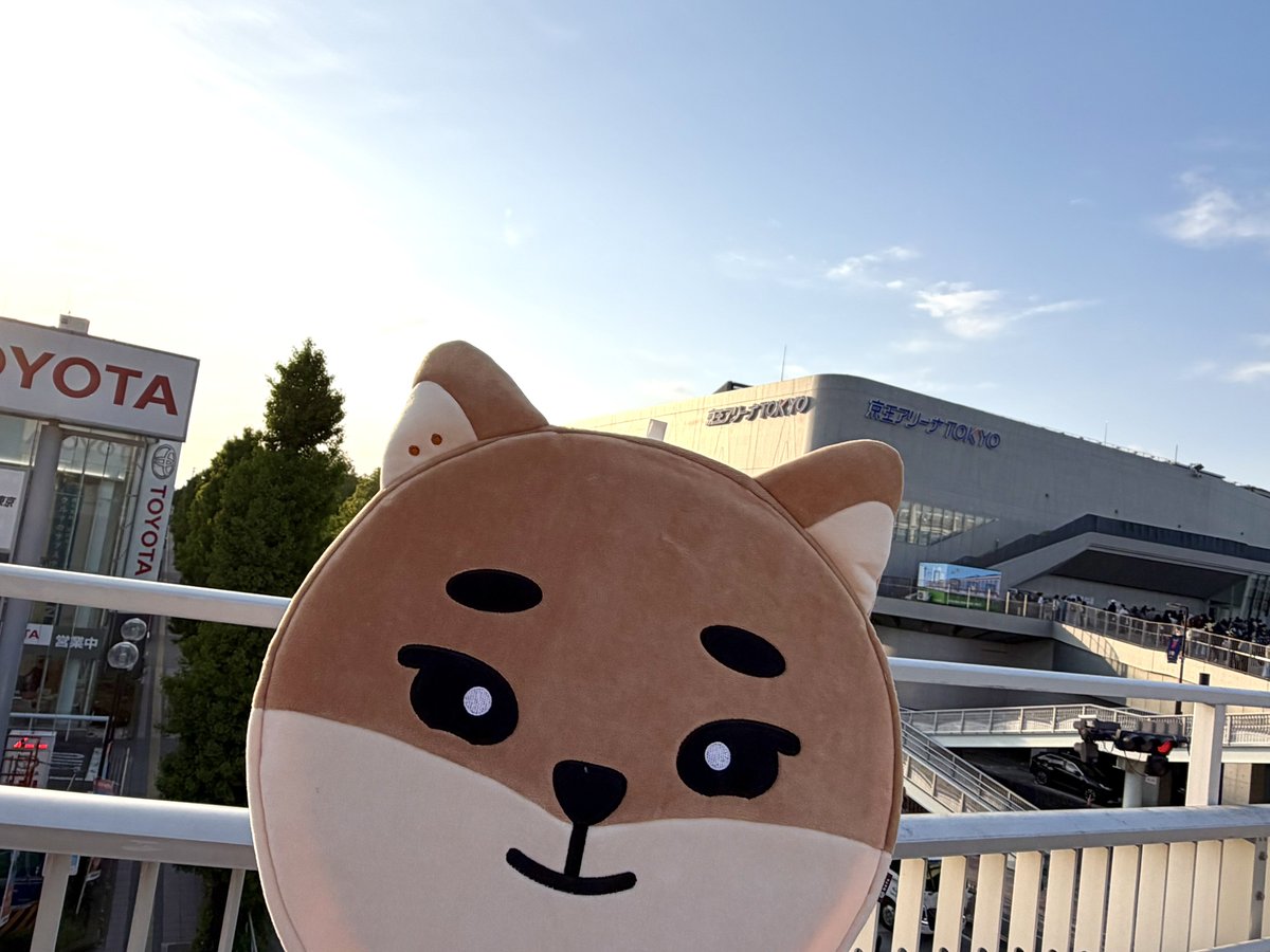 ダメ元で投稿します
今日のDAY6公演会場で、
ヨンケイのうちわ（Young Foreverのグッズ）と
KEのうちわケースを紛失しました（添付画像参照）。
会場の外で失くしたのか、会場内で失くしたのか不明なのですが、紛失物のところにはまだ届いてないとのことで、落ちてるのを見かけた方いますでしょうか？