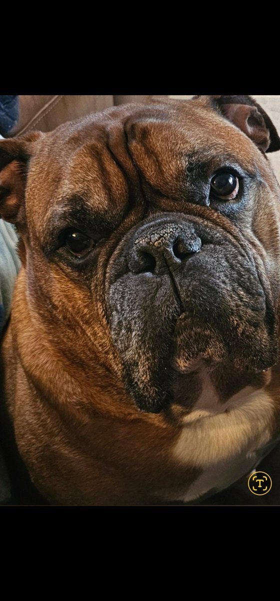 KyBourbonLover tweet media