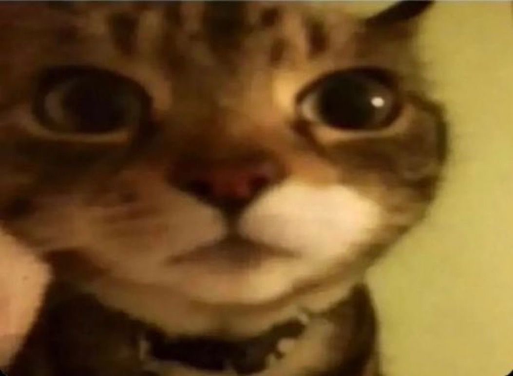 Lucy 击 tweet media